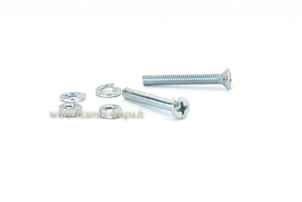 Pair of zinc coated screws for indicators 