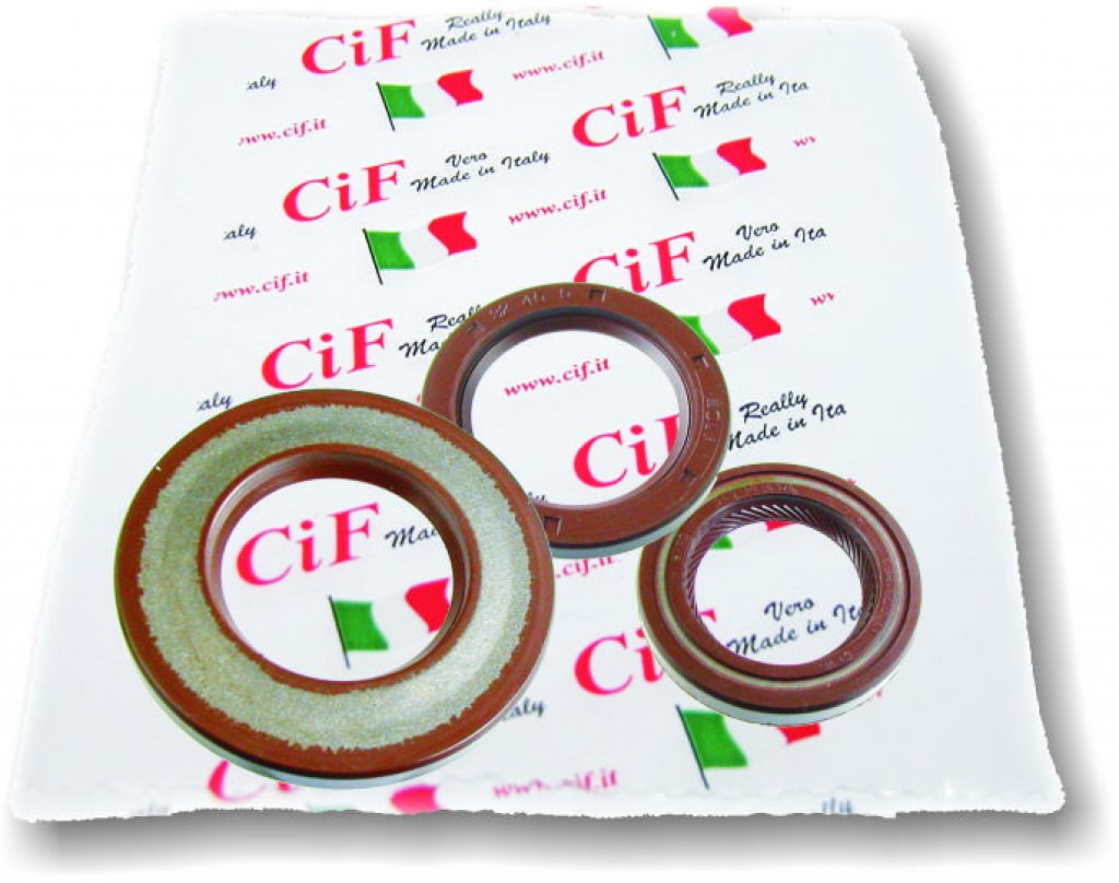 Complete Viton oil seal kit for Ape 220 MP 501 up to 1982 