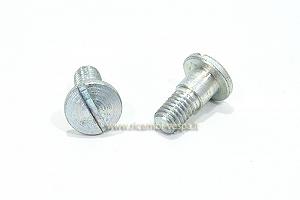 A pair of slot screws for seat handle fastening 
