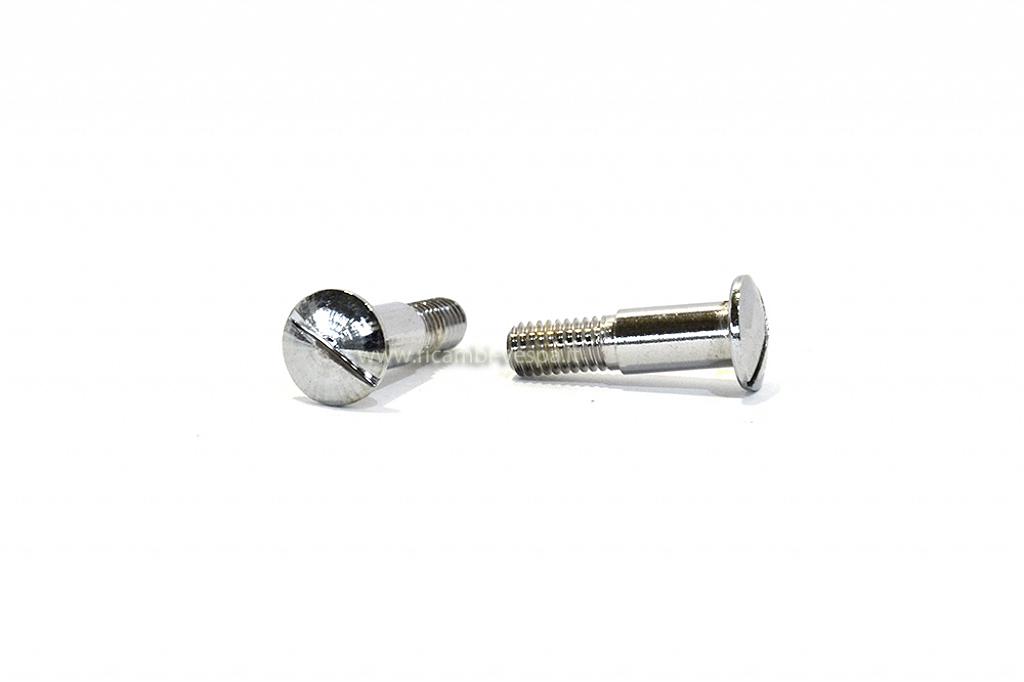 Pair of slot screws for seat handle fastening 